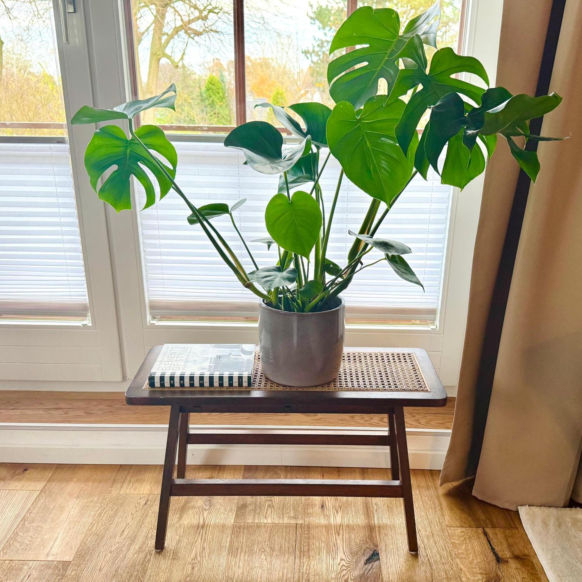 Happy Place Mit Sonnen-balkon Und Stellplatz Nur 400 M Zum Apartment